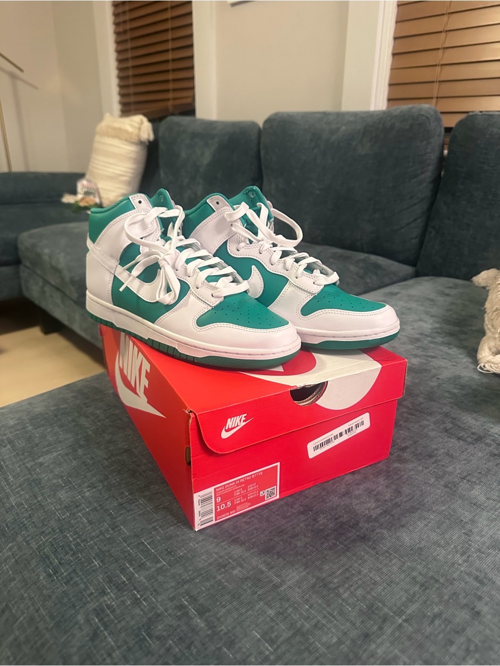 Nike Men’s 9 High-Top Sneakers in Teal and White